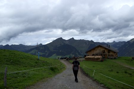 Path Leading into Mountains, Sonntag, Austria photo