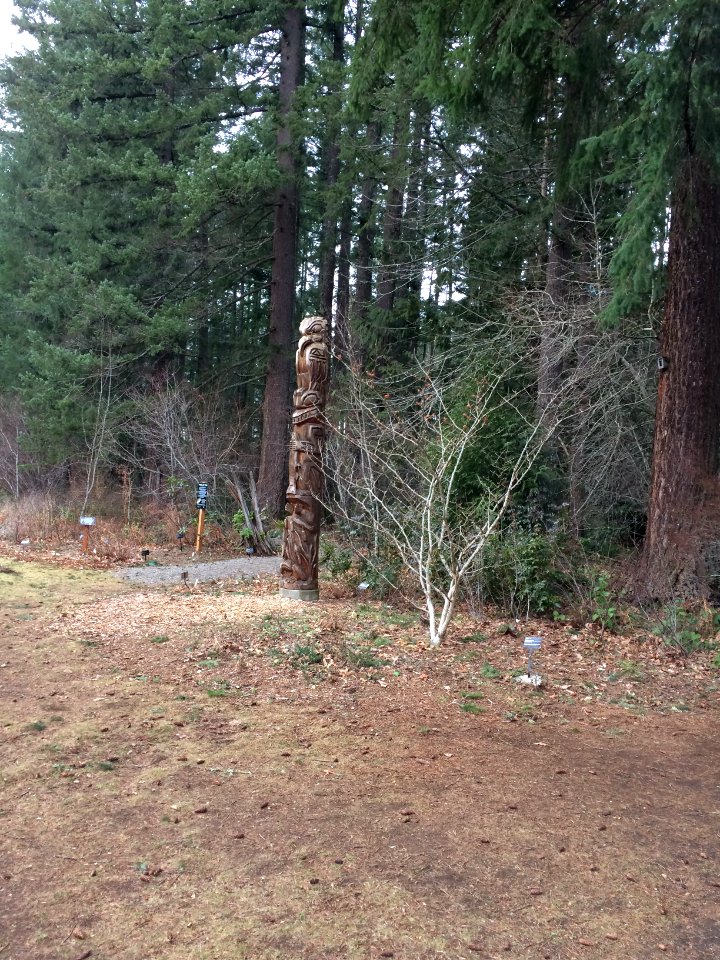 Walking to the Tribal Life Trail
