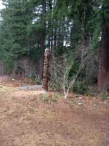 Walking to the Tribal Life Trail