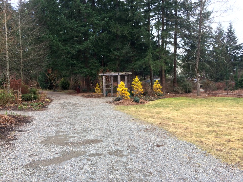 Welcome to the Lake Wilderness Arboretum