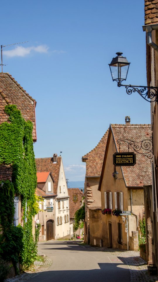 Rue principale de Mittelbergheim #2