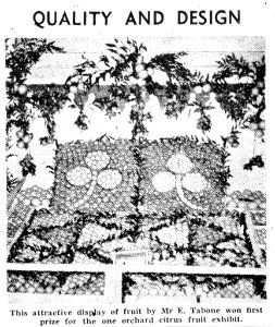 1949. Produce display at the Rockhampton Show. TMB June 25, p.4 photo