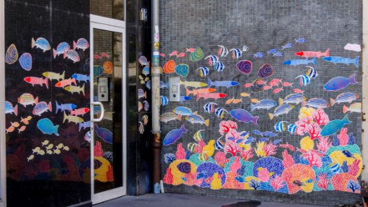 Rue du jeu-des-enfants #7 - Aquarium d'extérieur