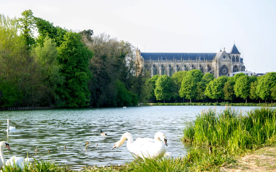 Le Grand jard au abord de la Cathédrale Saint-Étienne