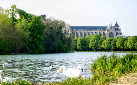 Le Grand jard au abord de la Cathédrale Saint-Étienne photo