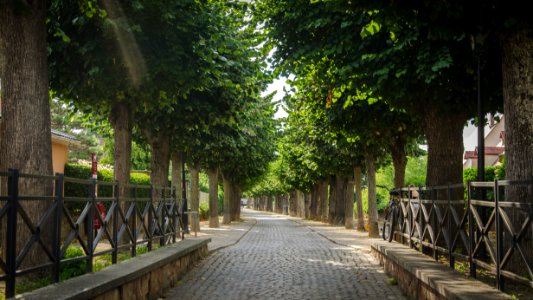 Promenade du Rampart photo