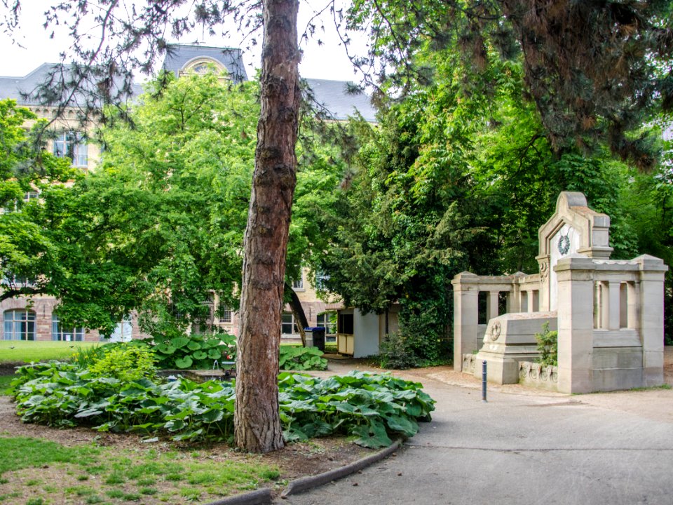 Ancien jardin botanique