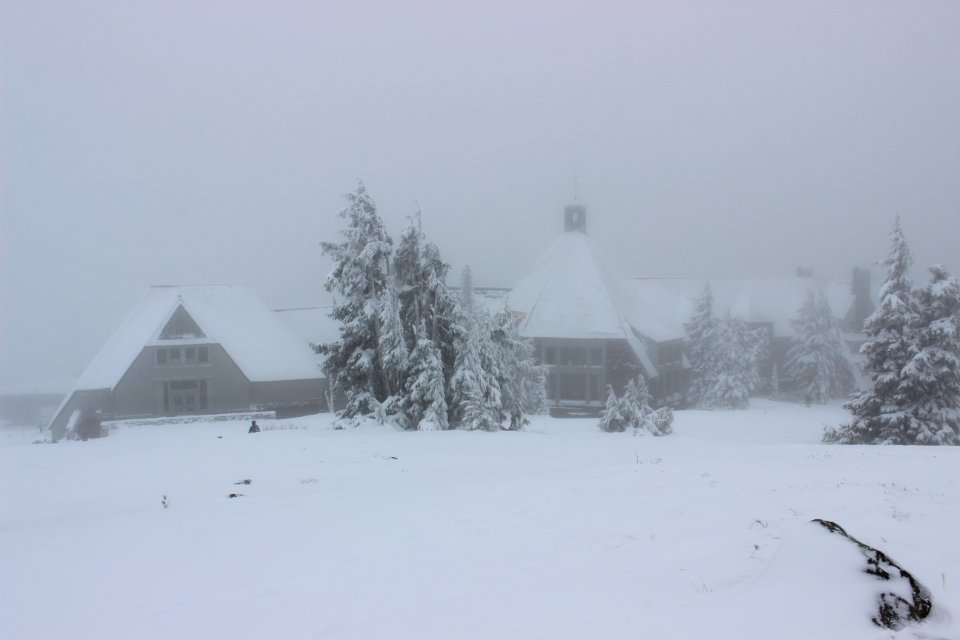 Timberline Lodge Ski Area
