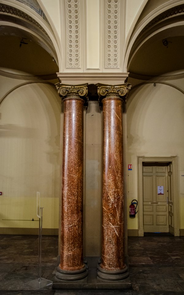 Palmier architecturale - Palais universitaire #8