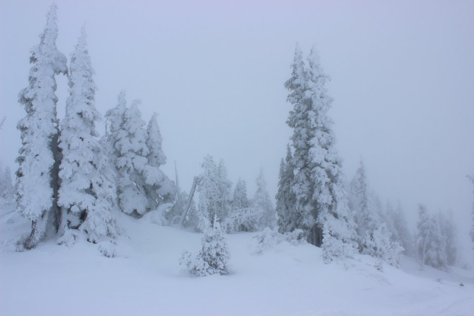 Timberline Lodge Ski Area