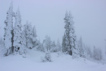 Timberline Lodge Ski Area
