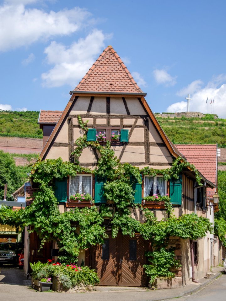 Belle maison végétalisée