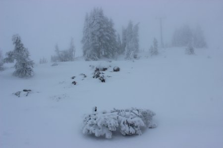 Timberline Lodge Ski Area photo