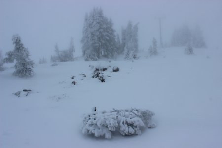 Timberline Lodge Ski Area
