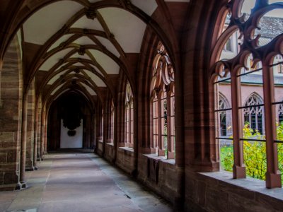 Le grand cloître gothique - Cathédrale de Bâle #3 / Der große gotische Kreuzgang - Basler Münster #3 photo