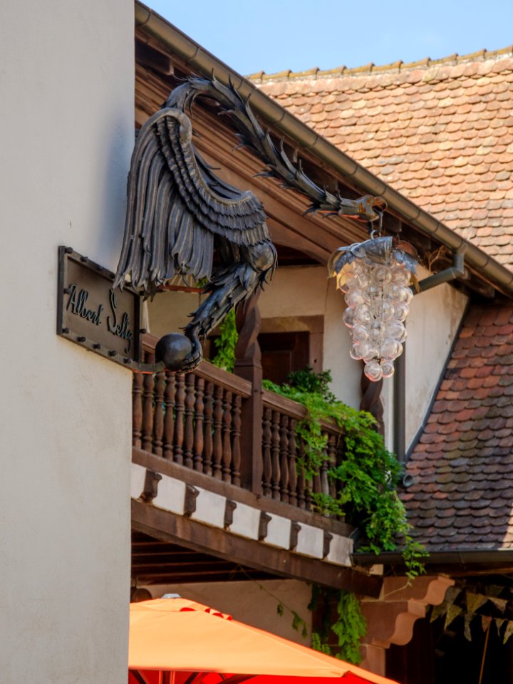 L'enseigne ailée du domaine Albert Seltz