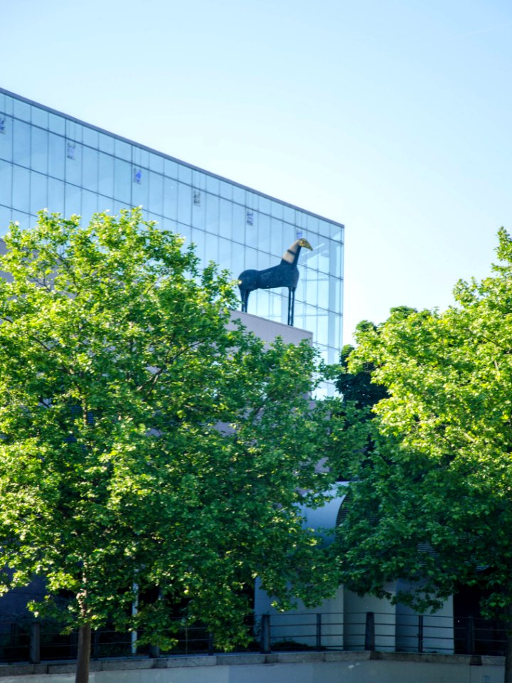 Protecteur de la "forêt" du Mamcs