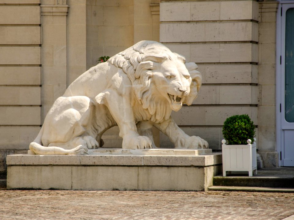 Gros chat de la préfecture