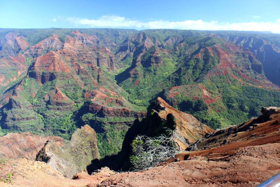 Waimea Canyon photo