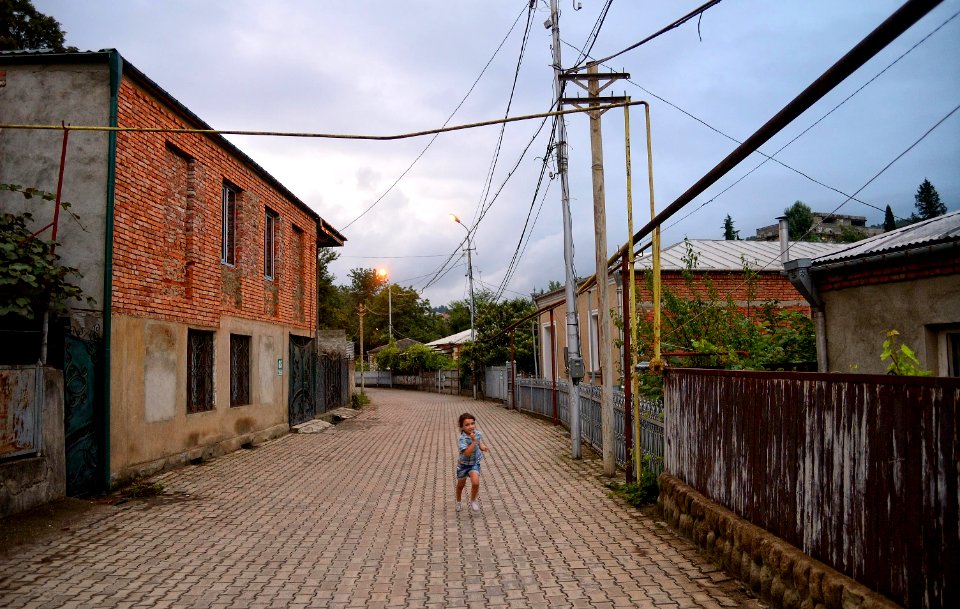 DSC 2008