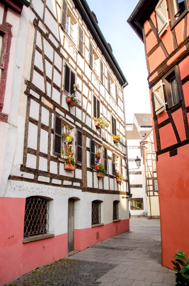 Rue du Bain Finkwiller