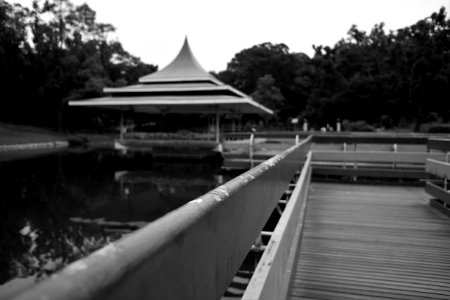 DSCF0997