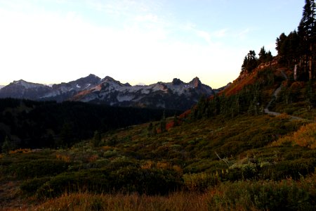 Mt Rainier