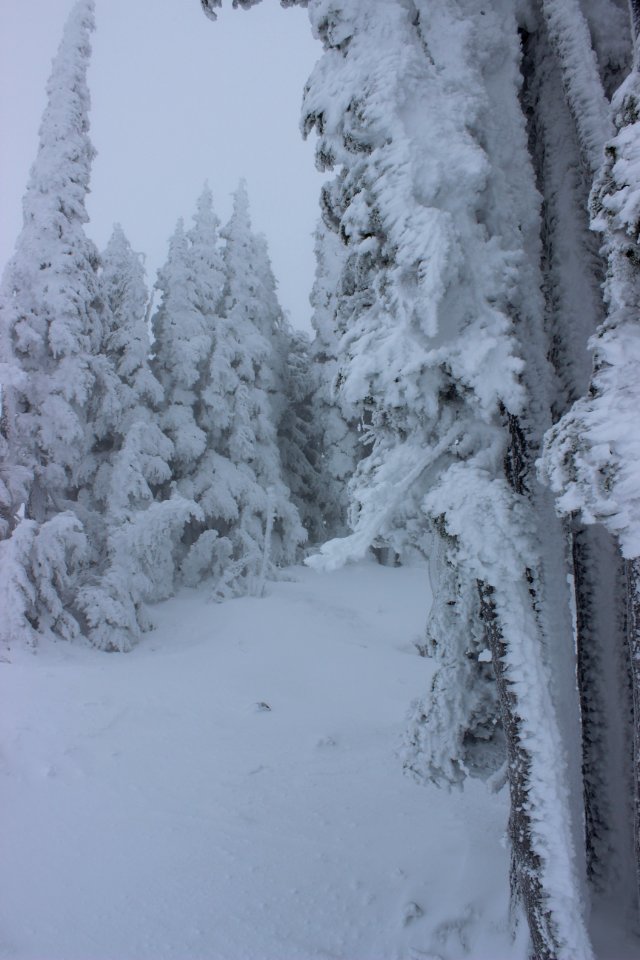 Timberline Lodge Ski Area