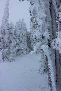 Timberline Lodge Ski Area
