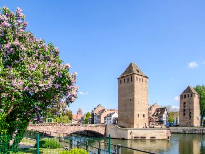 Lilas des ponts couverts photo