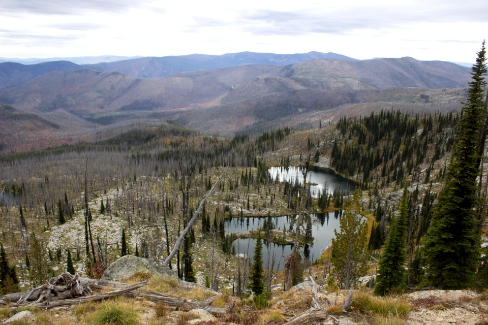 Burnt Knob Fire Lookout