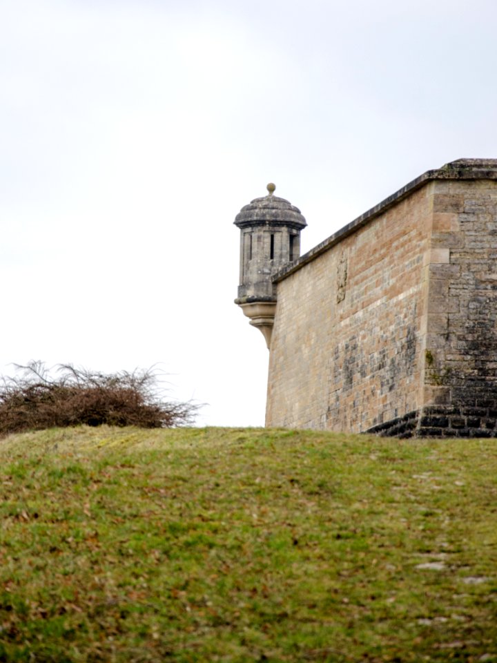 La tour piquante de Langres