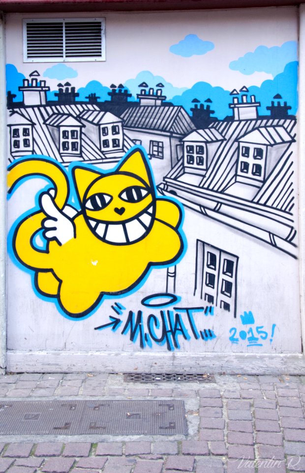 Un des M. Chat de Strasbourg