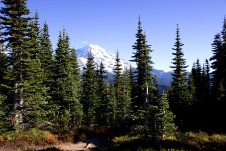 Tolmie Peak Fire Lookout