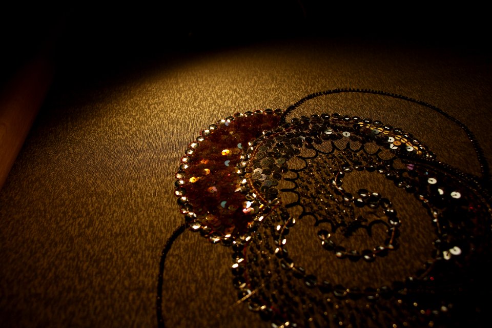 broderie paillettes