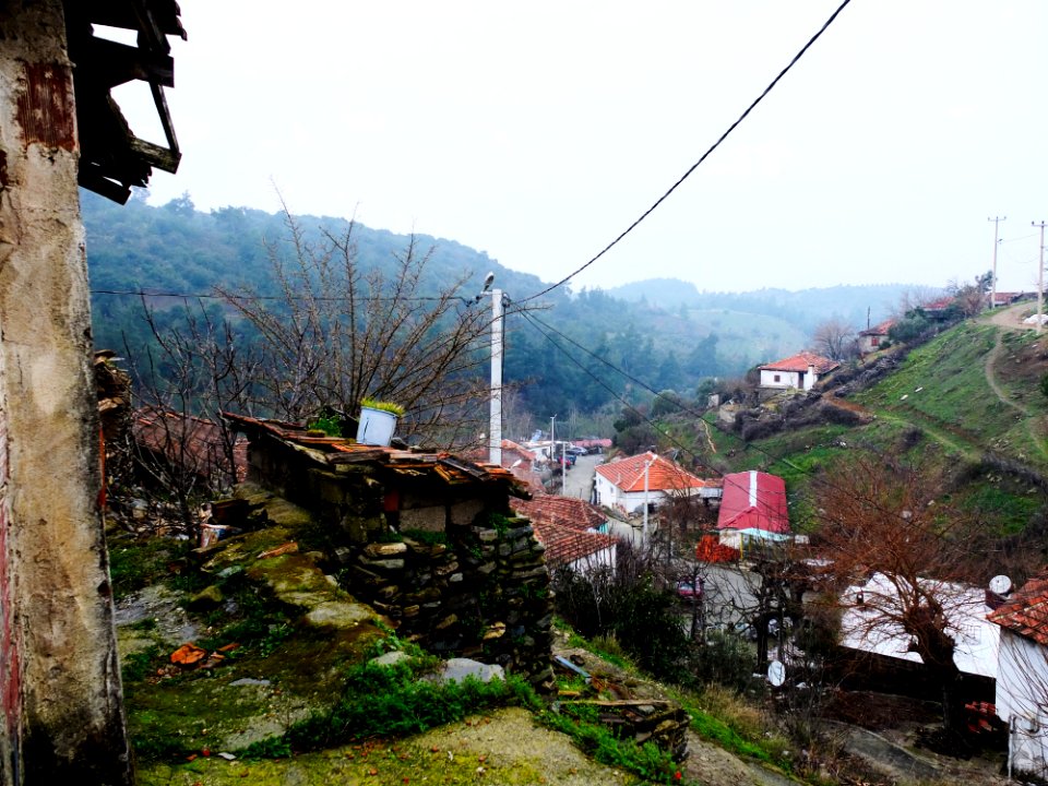 kemalpaşa sinancılar zeamet