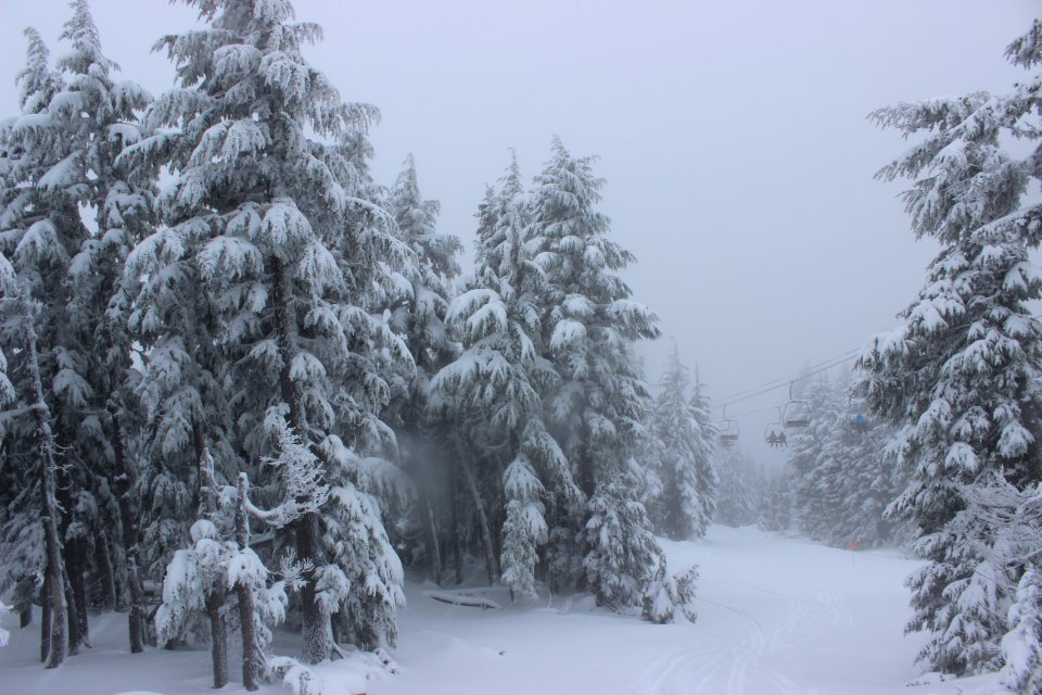 Timberline Lodge Ski Area