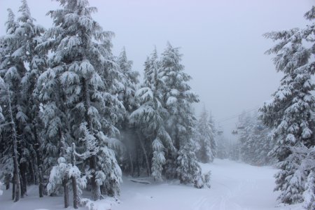 Timberline Lodge Ski Area