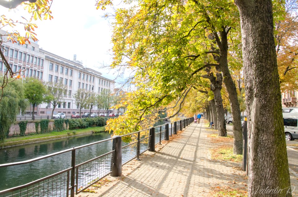 Automne sur le quai Jacques Sturm