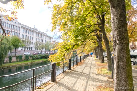 Automne sur le quai Jacques Sturm