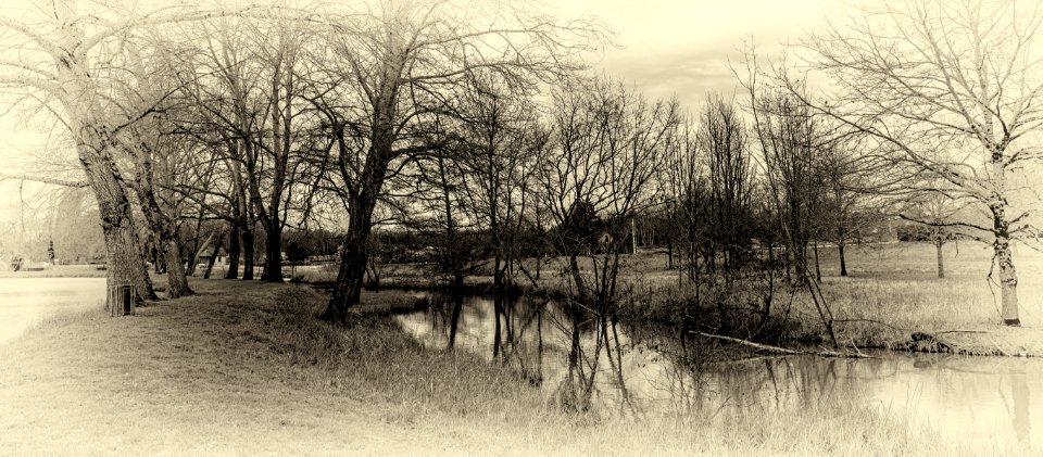 la rivière Beuvron sur une ancienne plaque photo