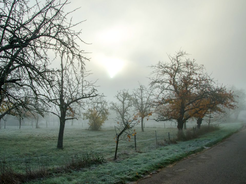 Paysage horrifique