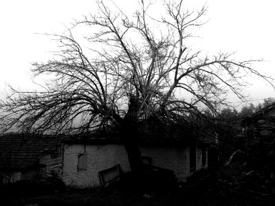 abandoned village photo