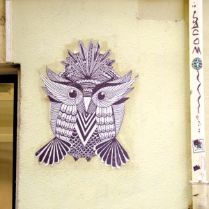 La chouette psychédélique