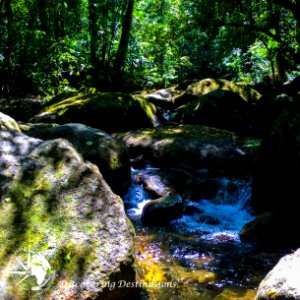 Reserva Indigena Rio Silveiras