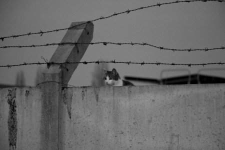 Surveiller et punir