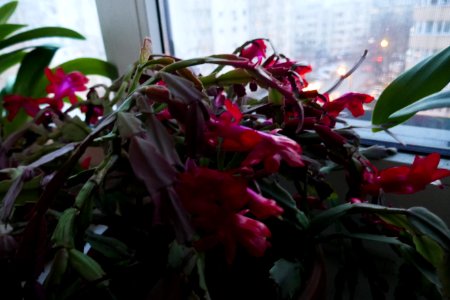 P3240586