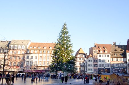 Sapin de Noël de Strasbourg