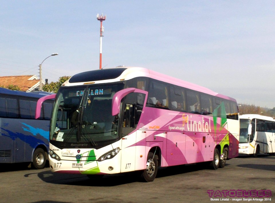← Buses Linatal ©→