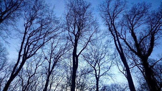 paysage 24